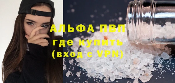 СК Валдай