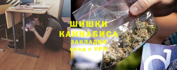 шишки Алапаевск
