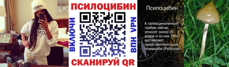 Псилоцибиновые грибы Psilocybe  купить наркоту  Ветлуга 